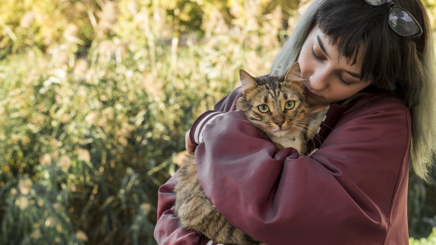 Le chat attaché affectivement à « son » humain FEELLOO