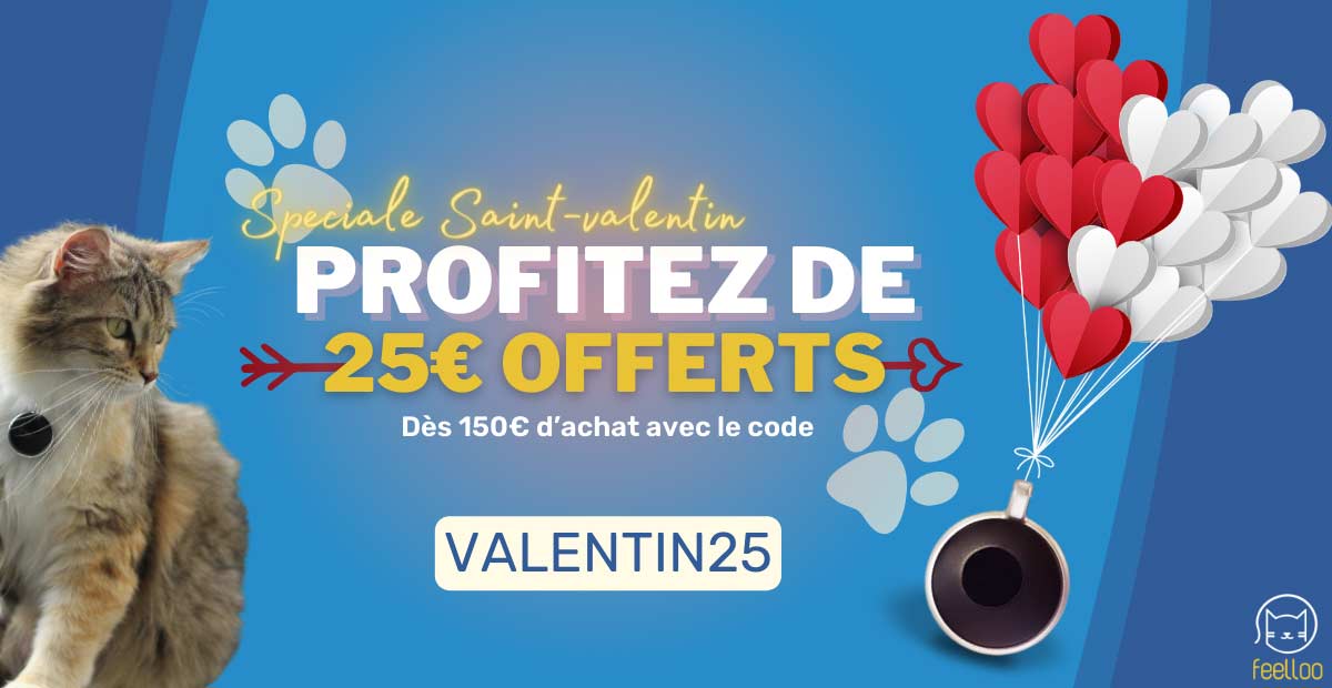 Le comportement de mon chat a changé depuis mon retour de vacances