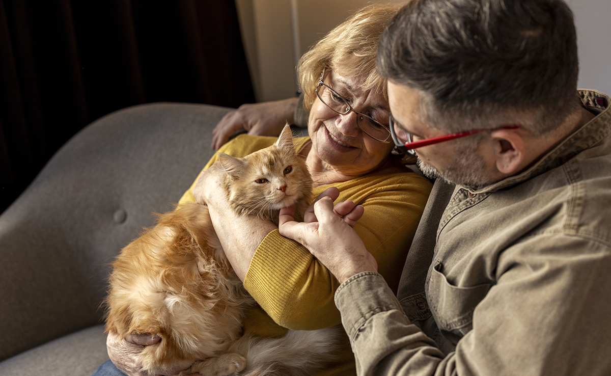 famille heureuse avec un chat